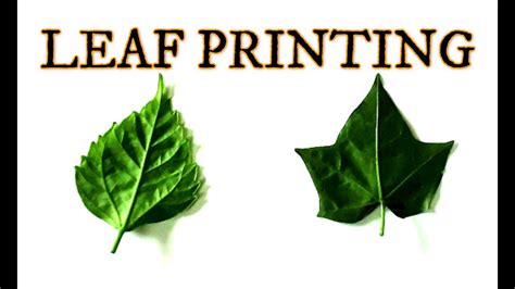 Different Types Of Leaf Printing Ideas For Kids Leaf Printing