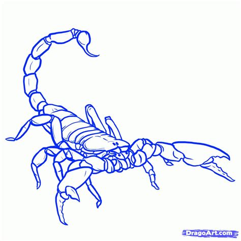 Image From How To Draw Scorpions Step 13