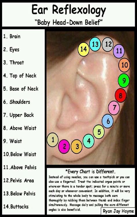 Your Key Pressure Points Ear Reflexology Reflexology Reflexology