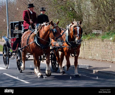 Heavy Horses Pulling Carriage Hi Res Stock Photography And Images Alamy