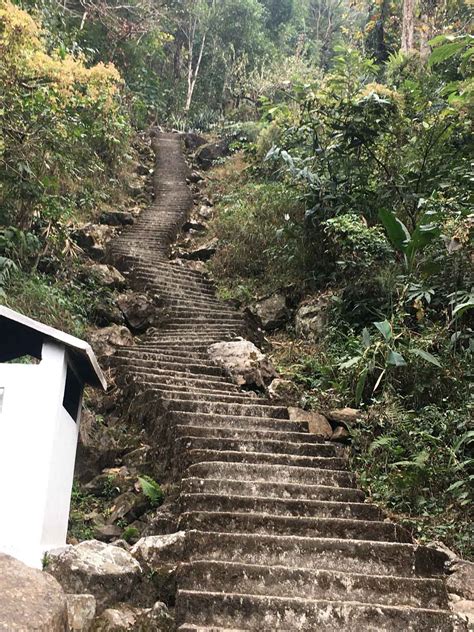 Trek To Double Decker Living Root Bridge Travel Tales Of A Dentist