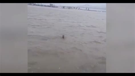 Video Shows Man Swimming In Mississippi River During Tropical Storm Barry