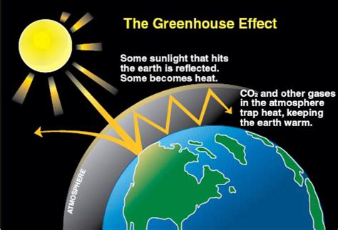 What Is The Difference Between The Greenhouse Effect And Global Warming