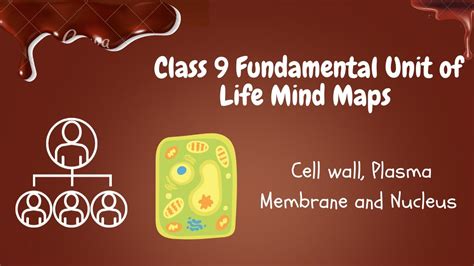 Class 9 Science Biology Chaper 5 The Fundamental Unit Of Life Flow