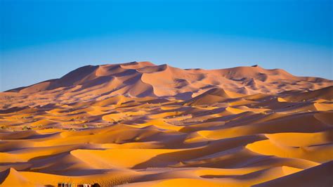 Sahara Desert Wallpaper 4k Merzouga Morocco Sand Dunes