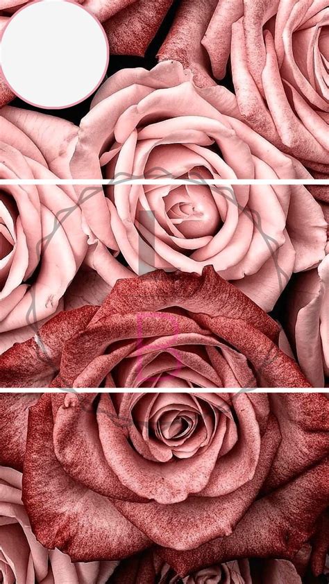 Pink Rose Series — Luxurious Blink Rose Gold Wallpaper Rose