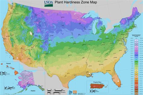 Plant Hardiness Zones Hgtv