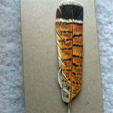 An Orange And Black Feather Laying On Top Of A Piece Of Paper