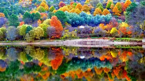 Autumn Scenery Wallpaperhd Nature Wallpapers4k Wallpapersimages