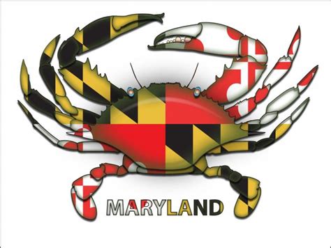 42 Maryland Flag Wallpaper On Wallpapersafari