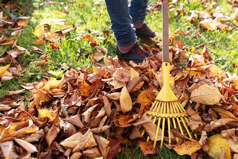 Jardinage et petits travaux - Bien dans sa maison : le spécialiste de l