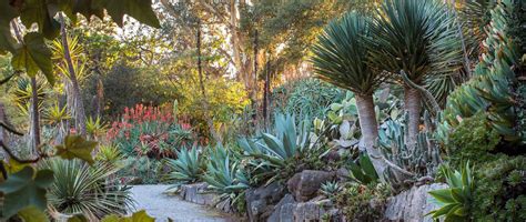 San francisco botanical garden, 1199 9th ave, san francisco, ca 94122, usa. Visit | San Francisco Botanical Garden | Botanical gardens ...