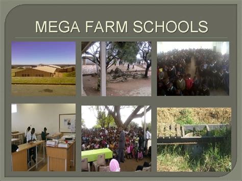 Mega Farm Schools Mega Farm Schools Definition Of