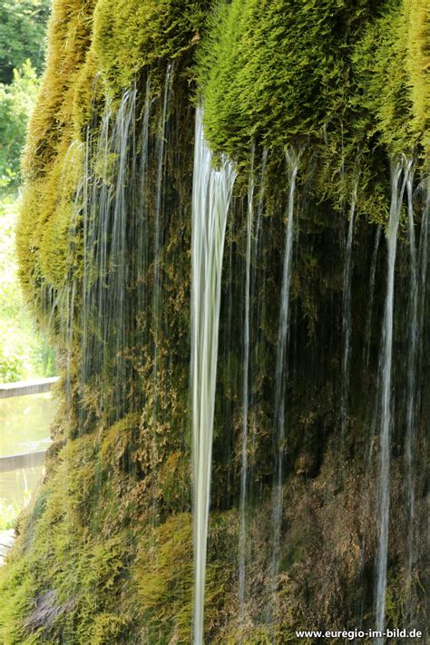 Der DreimÃ¼hlen-Wasserfall in der Eifel bei Ã xheim AhÃ¼tte - Euregio ...
