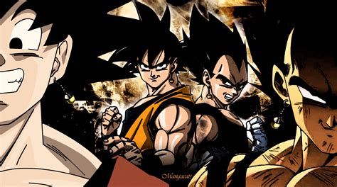 Goku And Vegeta Wallpapers Top Free Goku And Vegeta Backgrounds Wallpaperaccess