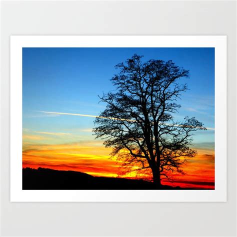 Winter Sunset And Tree Silhouette Art Print By Angel1 Society6