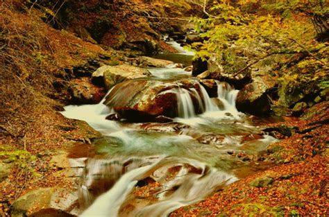 Valley Stream Of Autumn Scenery 3 — Chikara Amanos