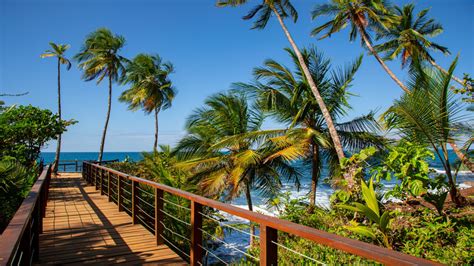 Playa Manzanillo Costa Rica Guide To Both Beaches Bookaway