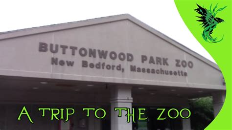 A Trip To The Zoo Buttonwood Park Zoo Youtube