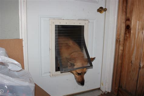 51 best doggy doors images on pinterest. Content Provider: Homemade magnetic dog flap nirvana