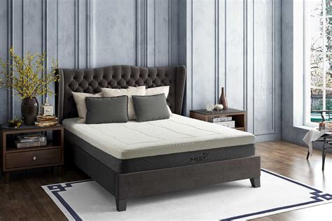 # אריק גארסיה יהיה שחקן ברצלונה, אך לא בינואר אלא בקיץ. מזרן Mlily מנצסטר יונייטד - Wellness - מחלקת Mlily מנצ'סטר ...