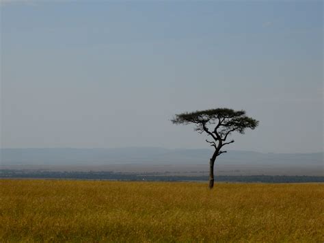 Kenya Must See Iconic Attractions From Masaai Mara To Mount Kenya