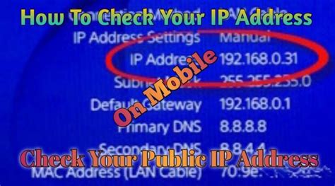 how to check your public ip address on mobile