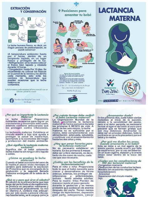 folleto lactancia materna original pdf