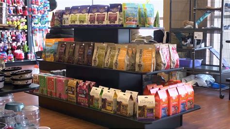 Our revamped selection of dog and cat food now makes it easier than ever to choose a complete and balanced diet for your pet. Custom Millwork | Canada's Best Store Fixtures | Pet store ...