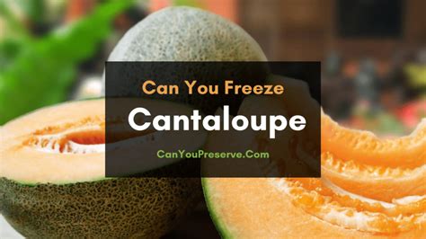 can you freeze cantaloupe a step wise guide on how to freeze defrost and use a cantaloupe