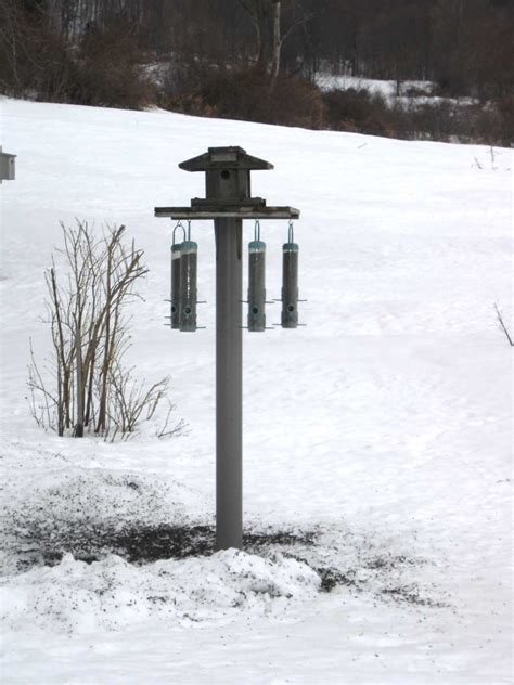 Coconut oil is a super safe option too! This Feeder Is Too Slick for Squirrels | MOTHER EARTH NEWS