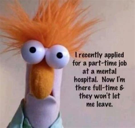 Beaker Funny Health Quotes Health Humor Funny Quotes Funny Memes