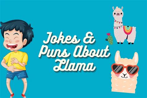 50 Funny Llama Jokes Funnpedia