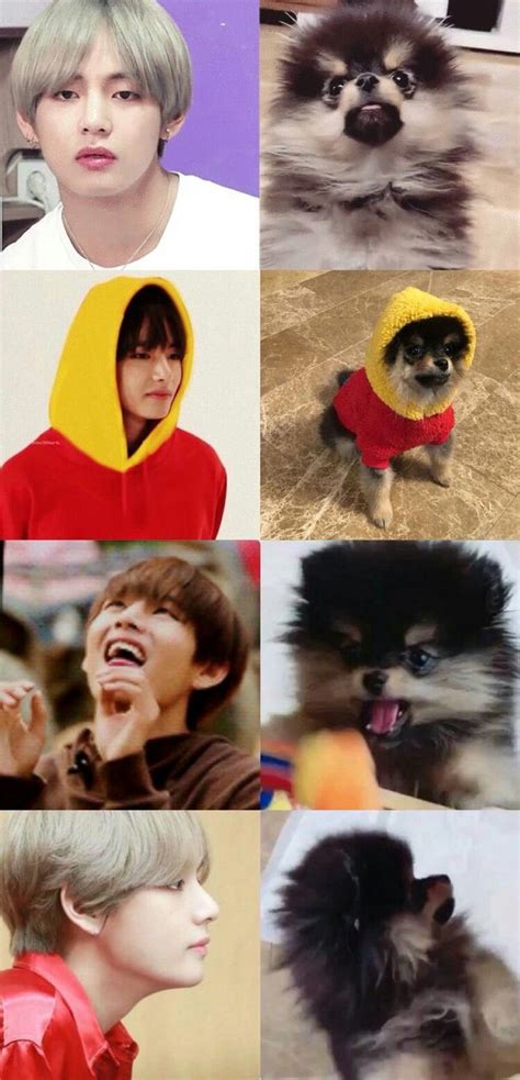 Taehyung And Yeontan ♡ Bts V Taehyung Bts Bangtan Boy