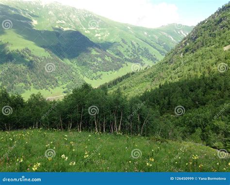 Green Mountains Scenic Landscape Alpine Meadows Stock Image Image
