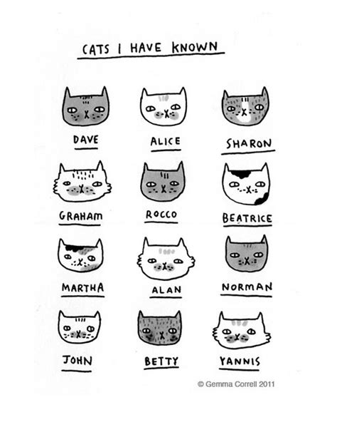 Cats I Have Known Gemma Correll Flickr