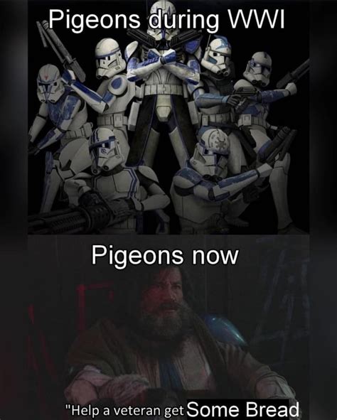 Elite Pigeons Know Your Meme