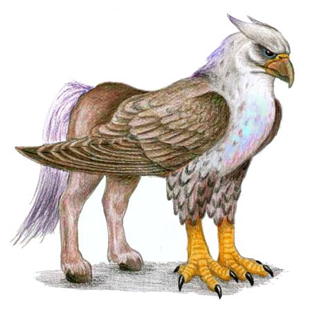 Hippogriff By Bananimationofficial On Deviantart