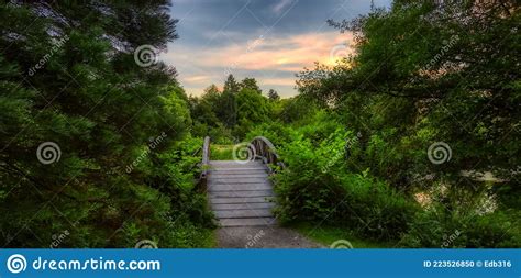 Wooden Bridge Over The Pond On A Walking Path In A Famous Stanley Park