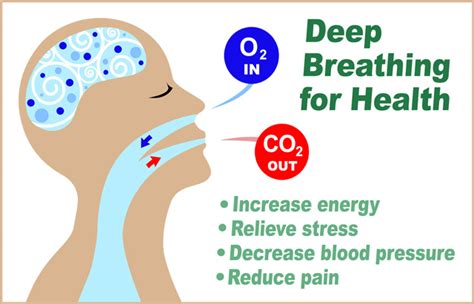 The Optimal Breathing Technique Optimal Health Insider