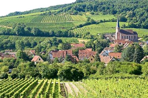 All Inclusive 9 Day Gourmet Wine Tour Of France