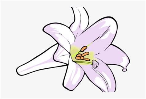 Free Easter Lily Cliparts Download Free Easter Lily Cliparts Png