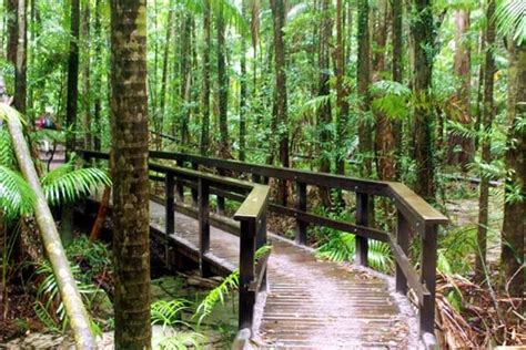 Fraser Island Walking Guide Australias Epic Walks Experience Oz