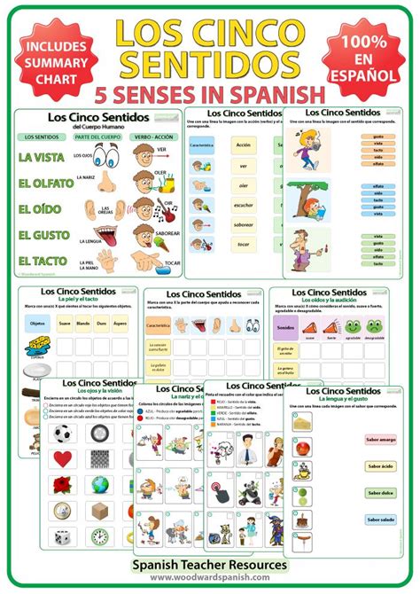 Los Cinco Sentidos En Español The Five Senses In Spanish Summary