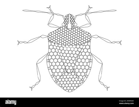 Black And White Stink Bug Clipart Vector Isolated On White Background
