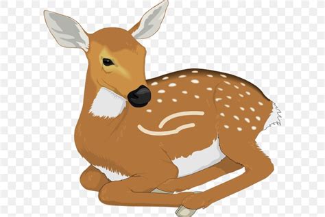 White Tailed Deer Fawn Clip Art Png 600x549px Deer Art Cartoon