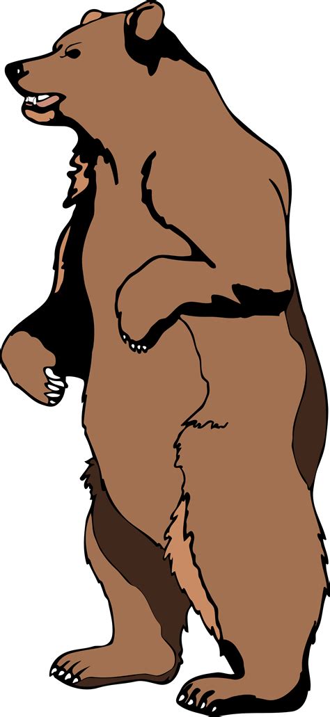 Grizzly Bear Drawing Step By Step Free Download On Clipartmag