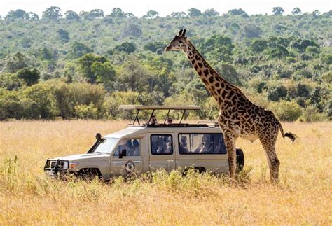 4 Tägige Lodge Safari Tour In Tansania Serengeti Wildebeest Migration And Ngorongoro Krater