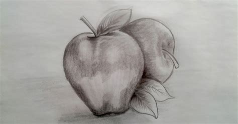 Download gambar sketsa cara menggambar pohon mangga gambar 2020 via gambar.co.id. Menggambar apel dengan teknik arsir dan dusel - NUANSA GAMBAR
