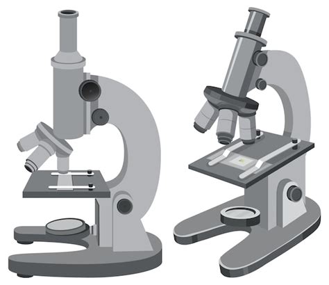 Free Vector Set Of Microscope Isolated